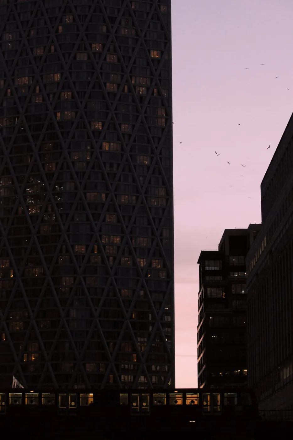 Rascacielos al atardecer con pájaros en el cielo
