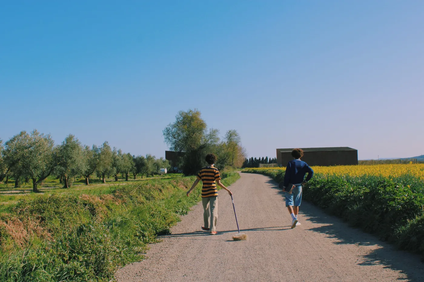 Dos chicos caminando por un camino entre campos