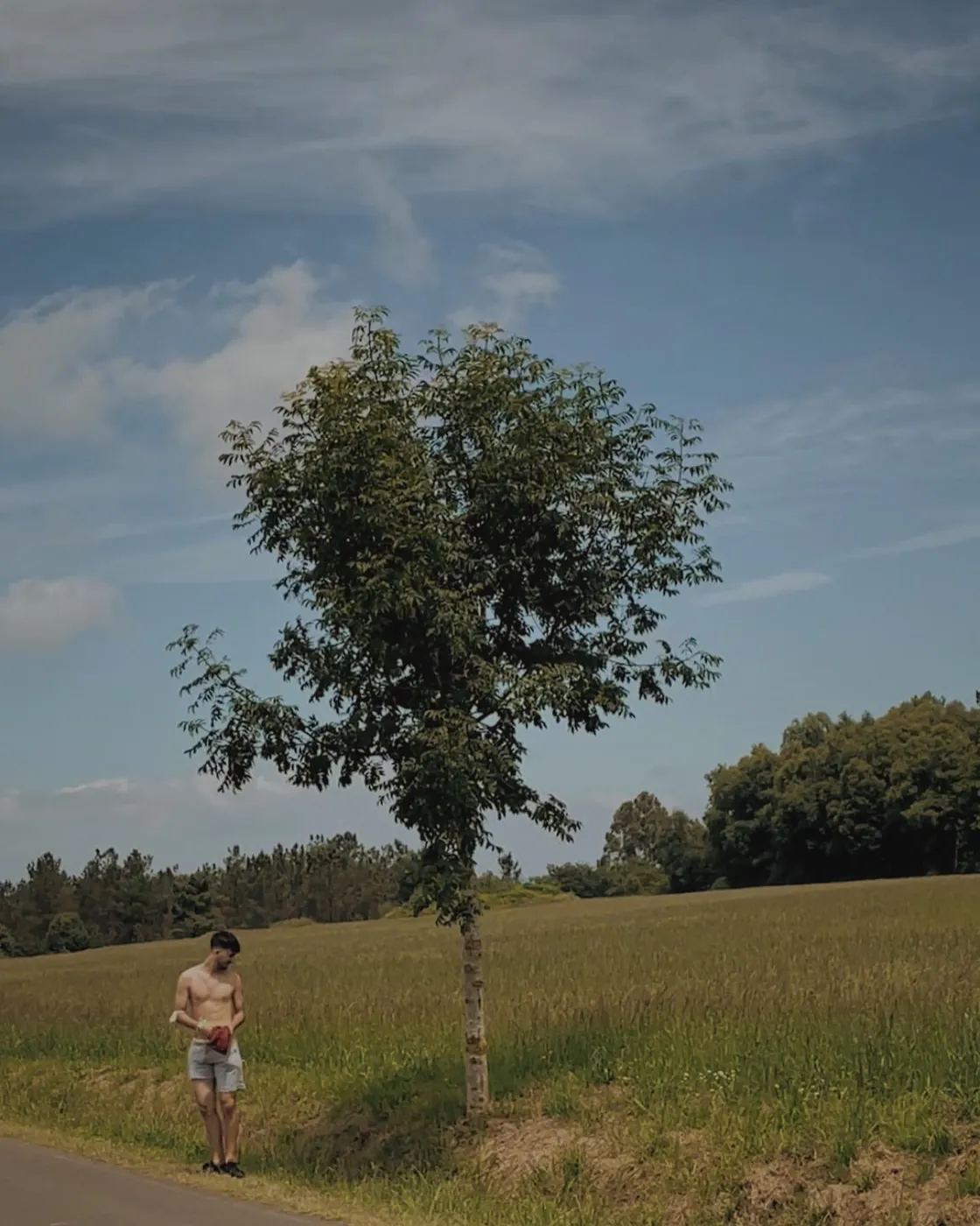 Chico junto a un árbol solitario en un campo
